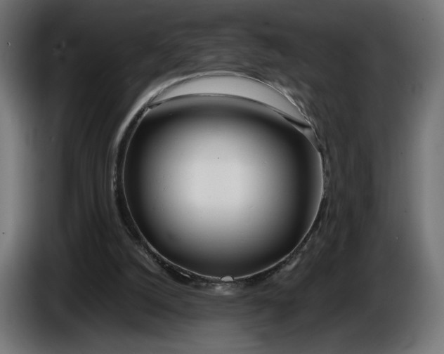 X0000086310056200704131640