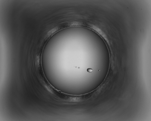 X0000086310057200704131640