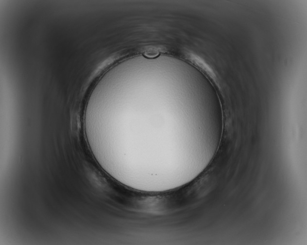 X0000086310059200704131640