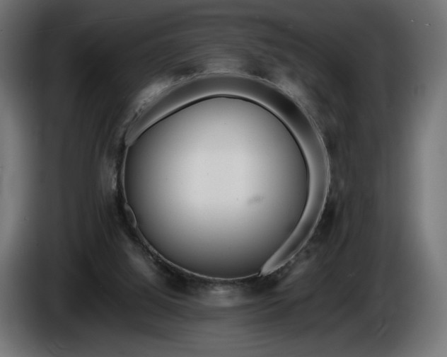 X0000086310060200704131640