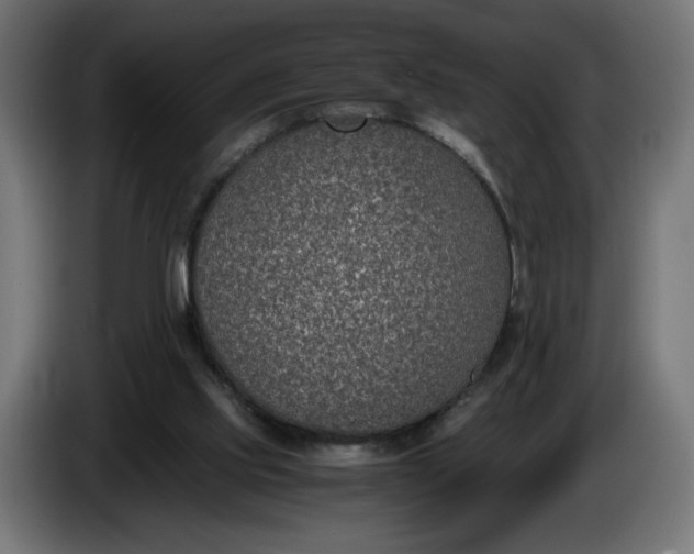 X0000086310061200704131640