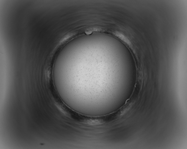 X0000086310063200704131640