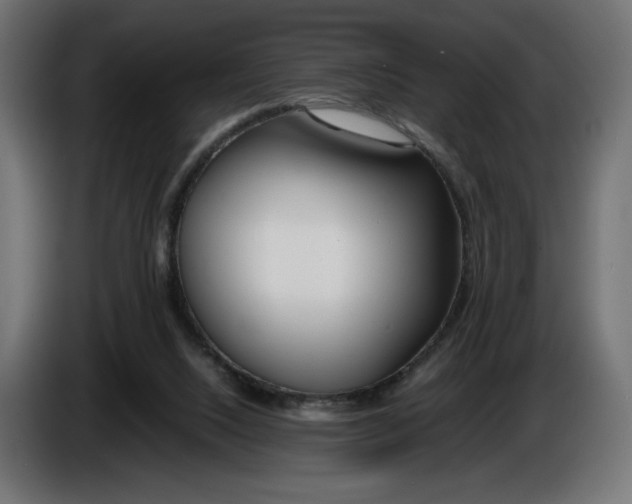 X0000086310064200704131640