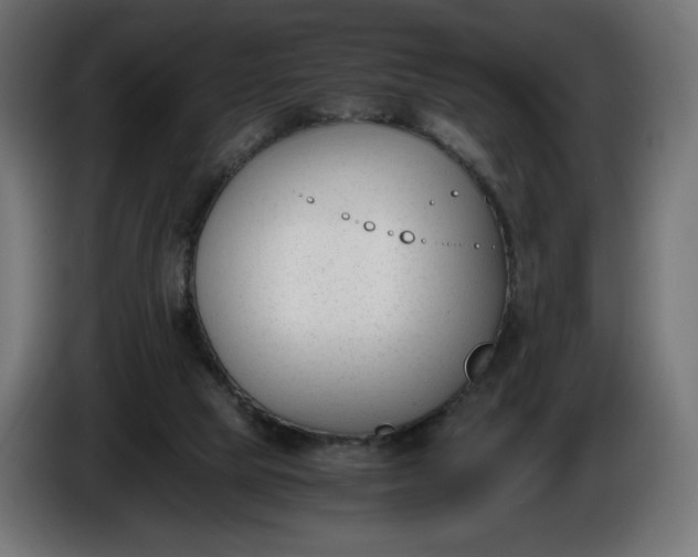 X0000086310065200704131640