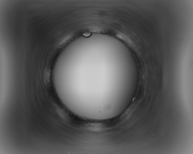 X0000086310066200704131640