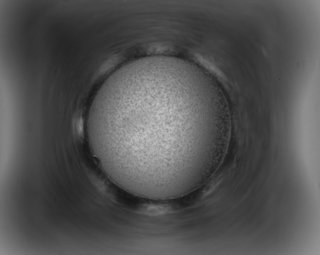 X0000086310067200704131641
