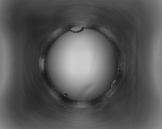 X0000086310070200704131641