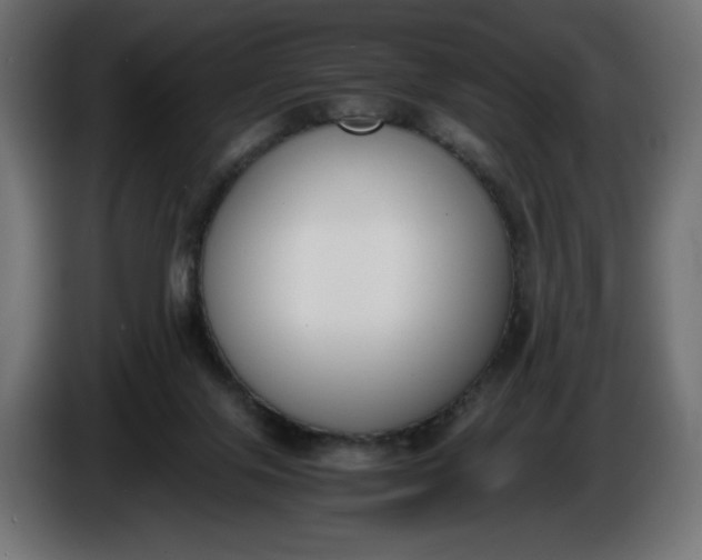 X0000086310071200704131641