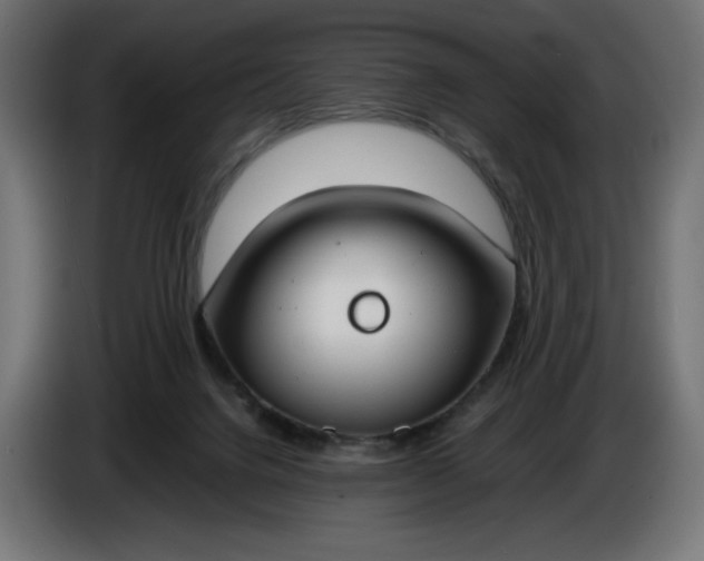 X0000086310072200704131641
