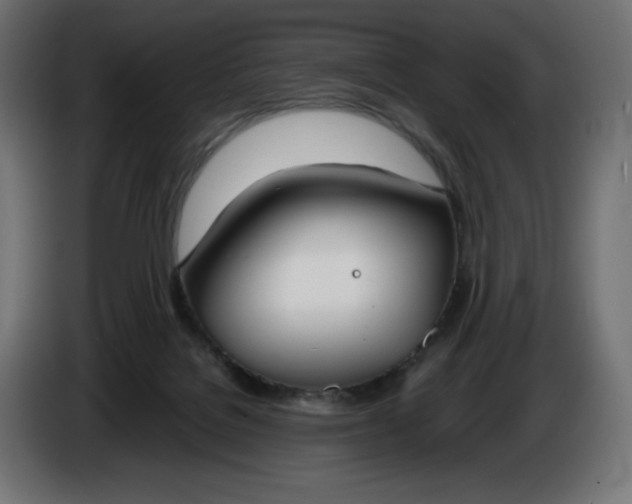 X0000086310076200704131641