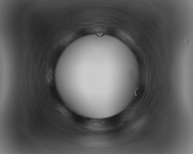 X0000086310077200704131641