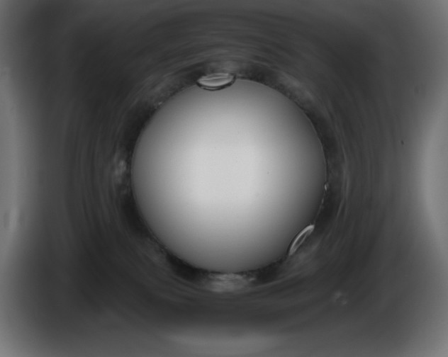 X0000086310087200704131641