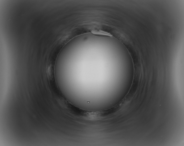 X0000086310088200704131641