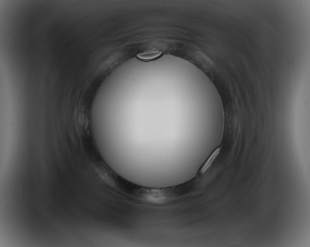 X0000086310091200704131641