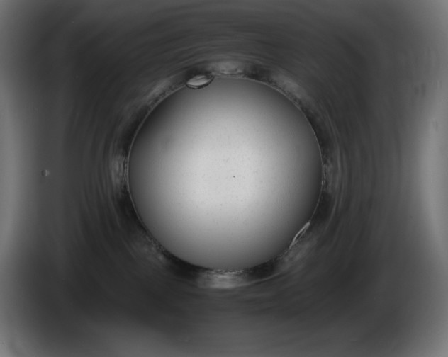 X0000086310093200704131641