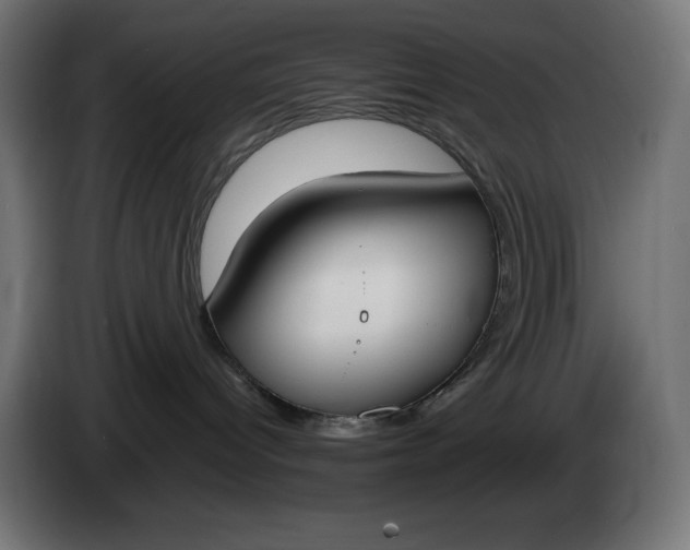 X0000086310096200704131641