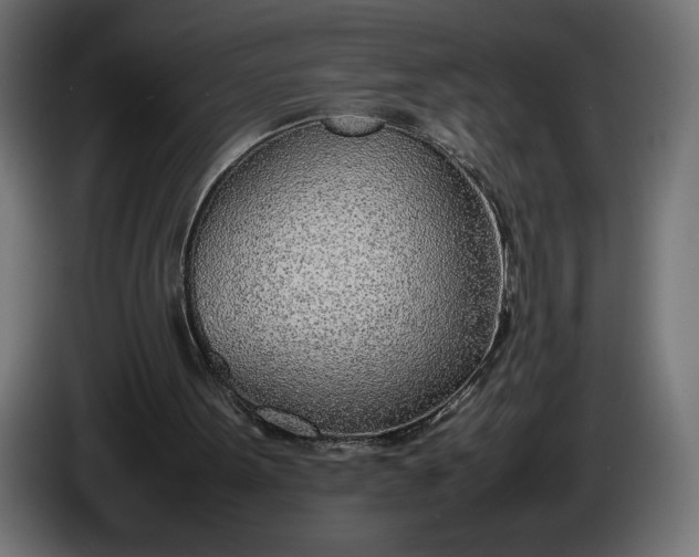 X0000086310099200704131640
