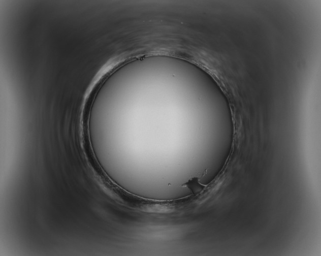 X0000086310102200704131640