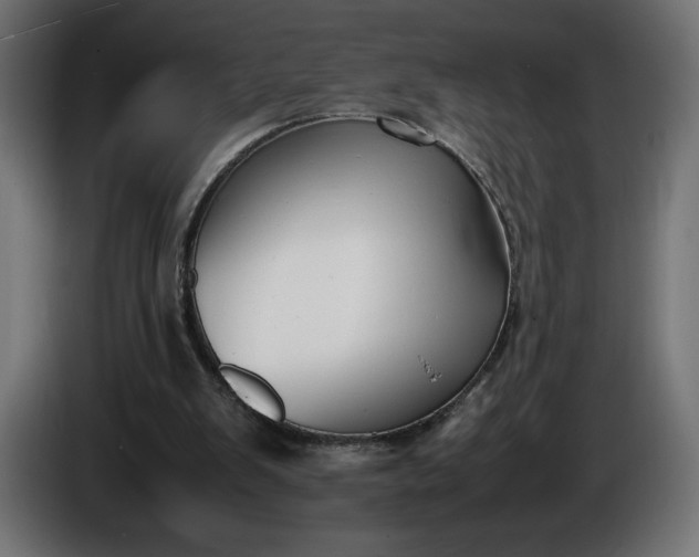 X0000086310103200704131640