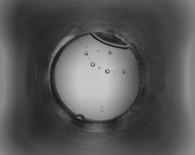 X0000086310104200704131640
