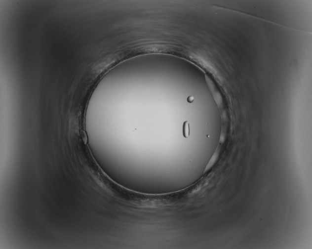 X0000086310105200704131640