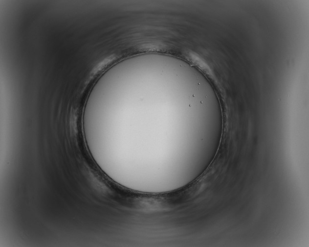 X0000086310106200704131640