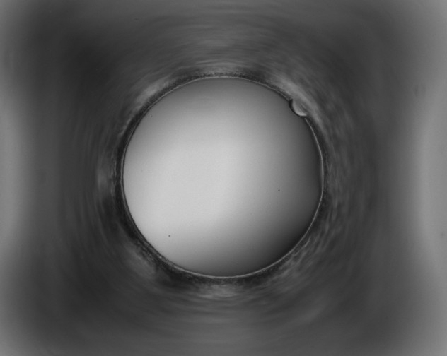 X0000086310107200704131640