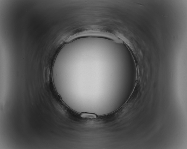 X0000086310109200704131640