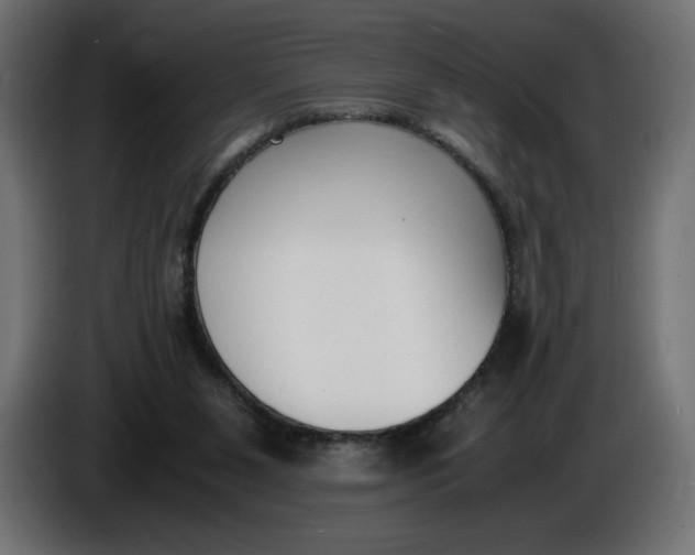 X0000086310111200704131640