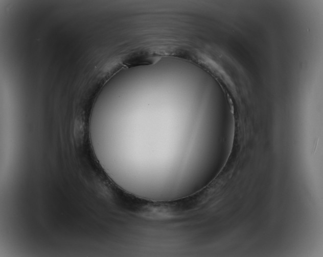 X0000086310113200704131640