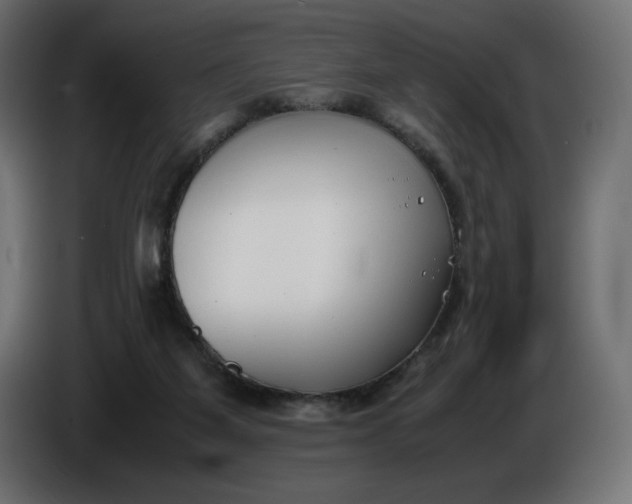 X0000086310115200704131640