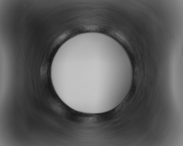 X0000086310116200704131640