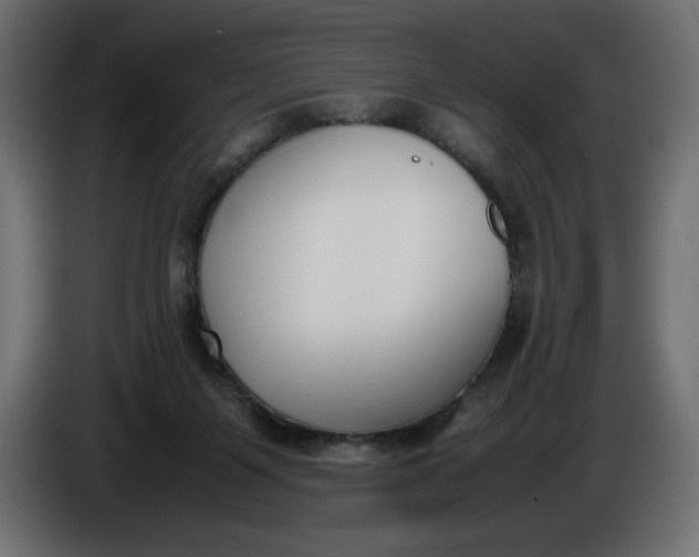 X0000086310119200704131640