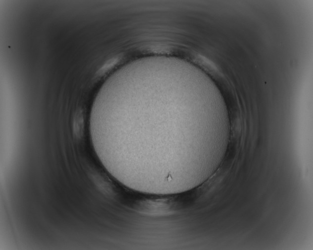 X0000086310120200704131640