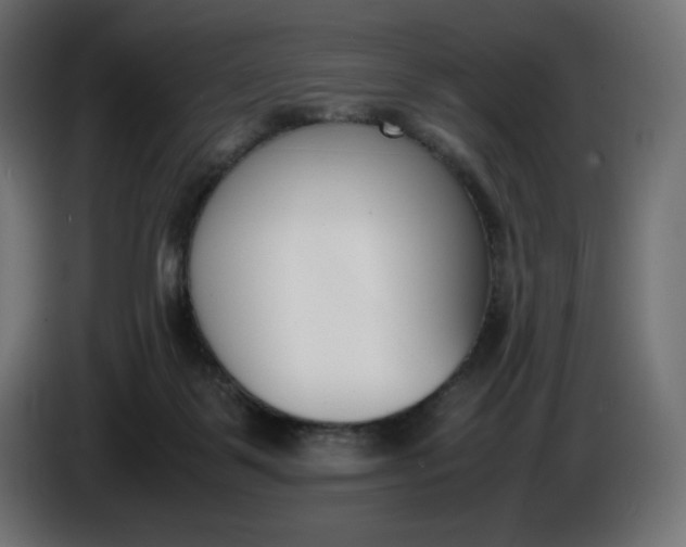 X0000086310123200704131640