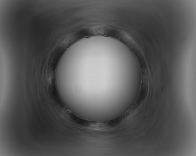 X0000086310125200704131640