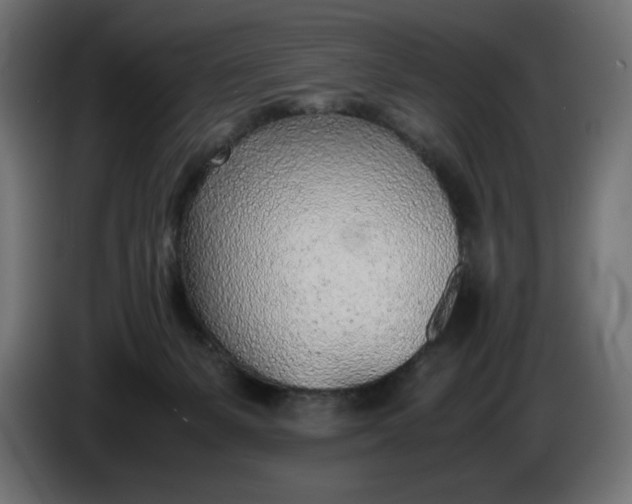 X0000086310127200704131640