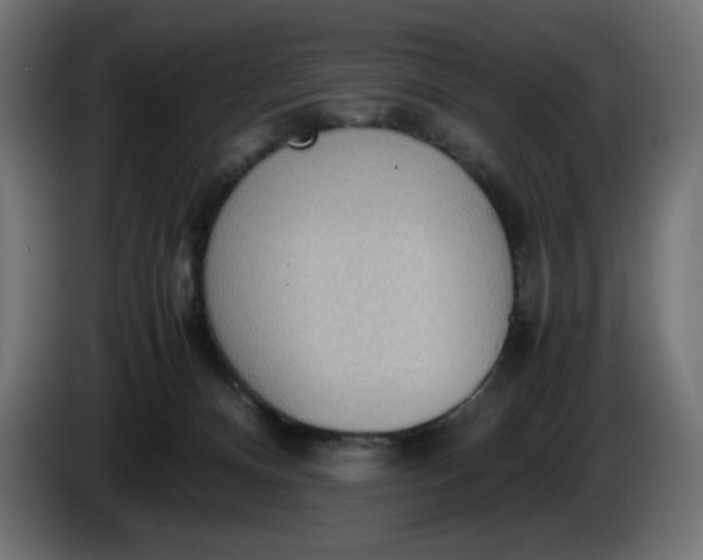 X0000086310128200704131640