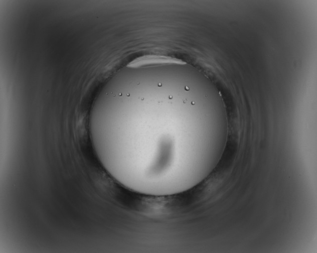 X0000086310131200704131640