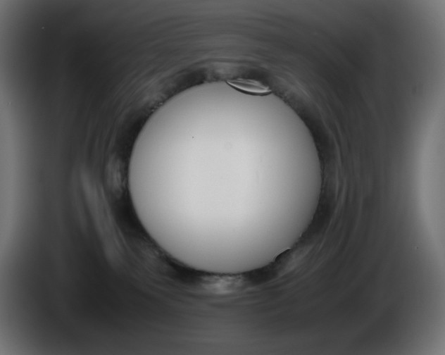 X0000086310135200704131640