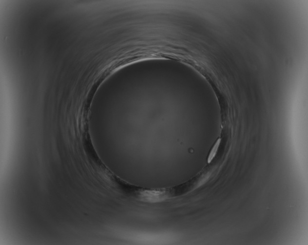 X0000086310139200704131640