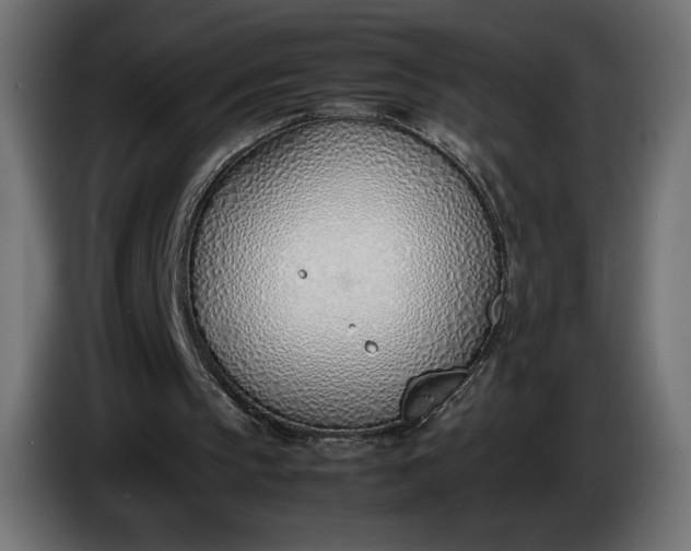 X0000086310145200704131639
