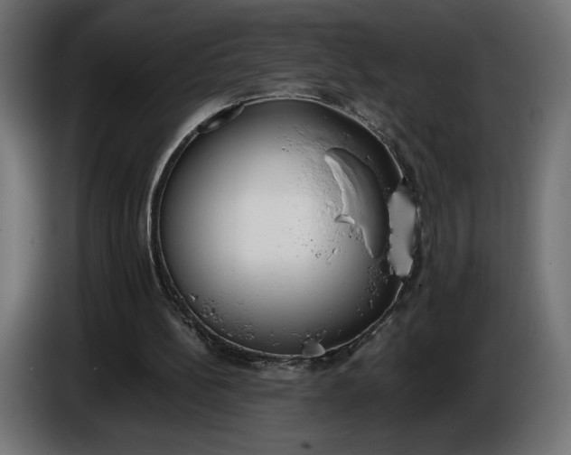 X0000086310148200704131639