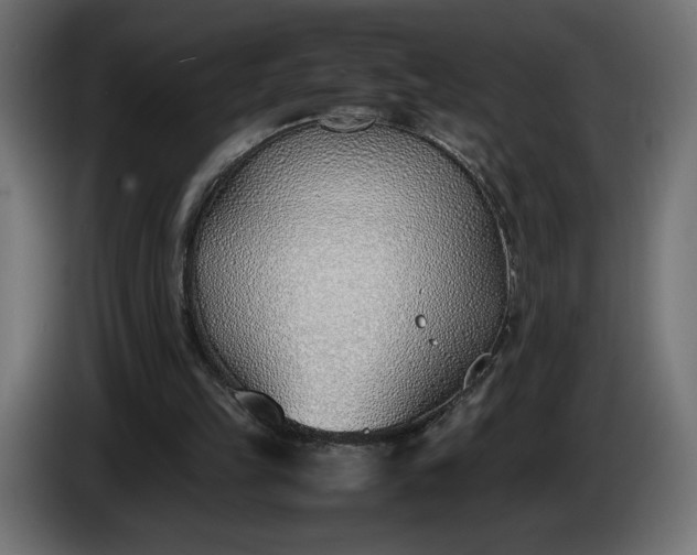 X0000086310149200704131639