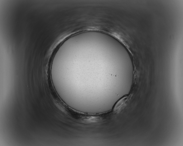X0000086310151200704131639