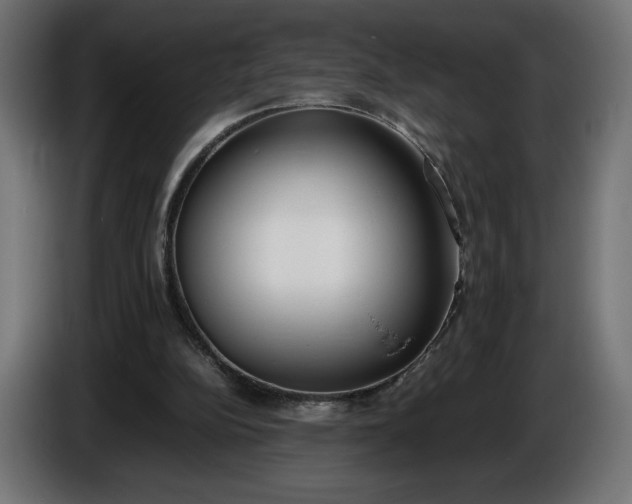 X0000086310152200704131639