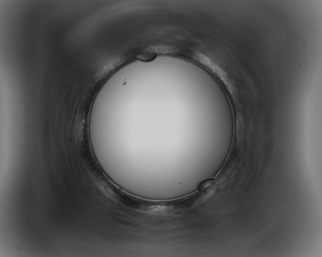 X0000086310153200704131639
