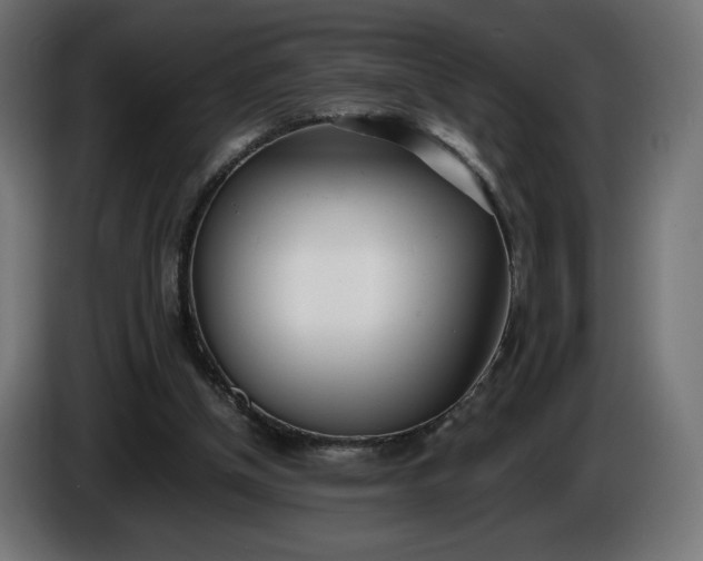 X0000086310154200704131639