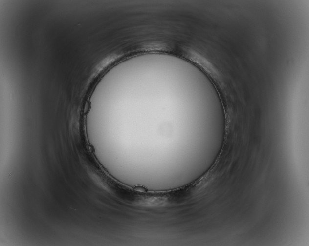 X0000086310155200704131639