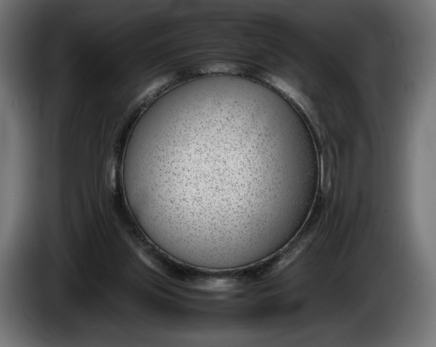 X0000086310157200704131639